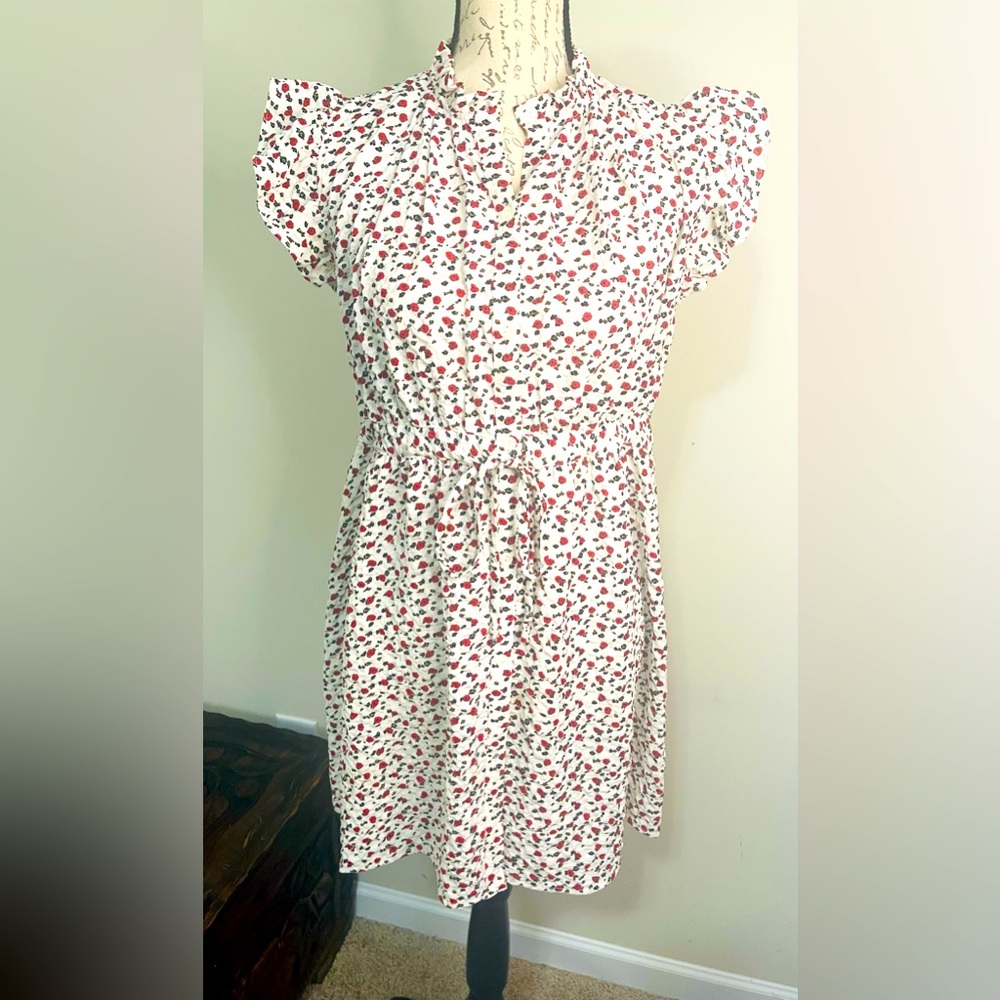 Olivia & Violet dress